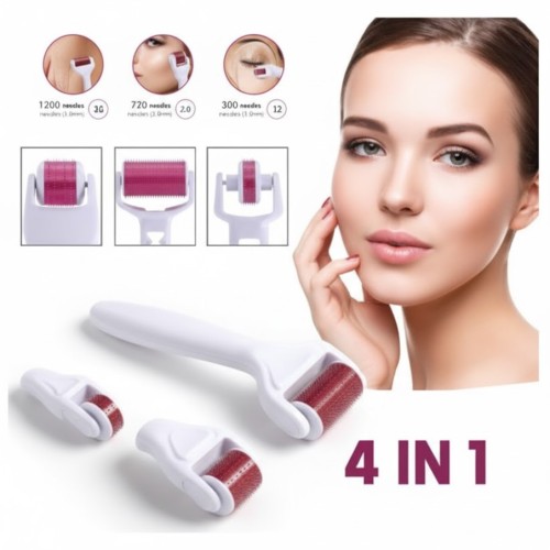 4 in 1 Derma Roller Price